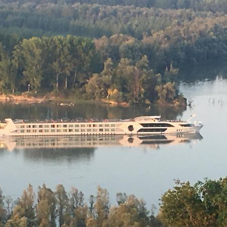 Kuca Za Odmor Brzica Erdut Villa Eksteriør billede