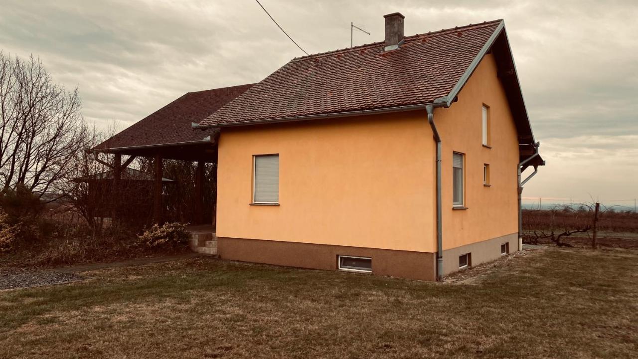 Kuca Za Odmor Brzica Erdut Villa Eksteriør billede