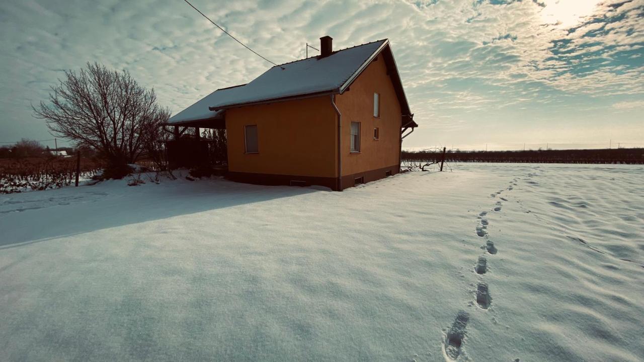 Kuca Za Odmor Brzica Erdut Villa Eksteriør billede